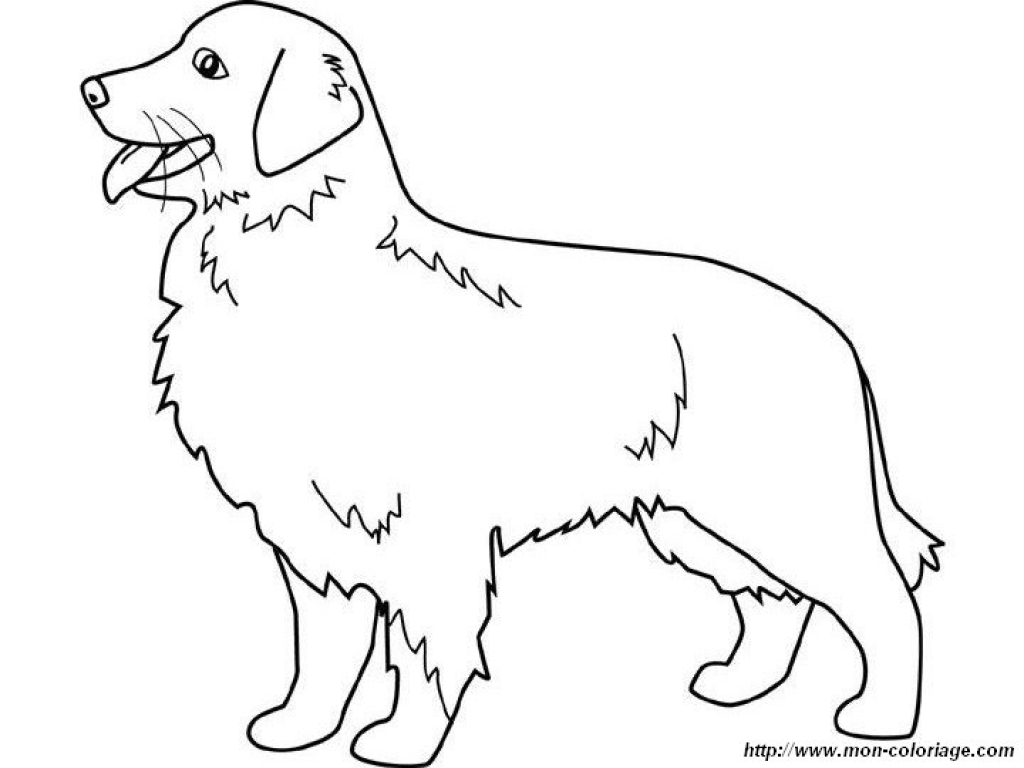 1024x768 Printable 16 Golden Retriever Coloring Pages 4687 For At Page