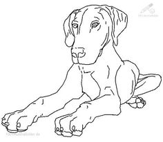 236x206 Printable Golden Retriever Coloring Page. Free Pdf Download
