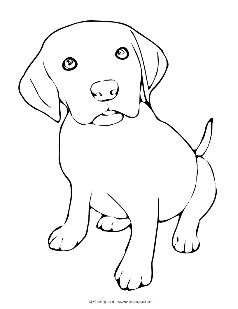 816x1056 Drawn Golden Retriever Coloring Page