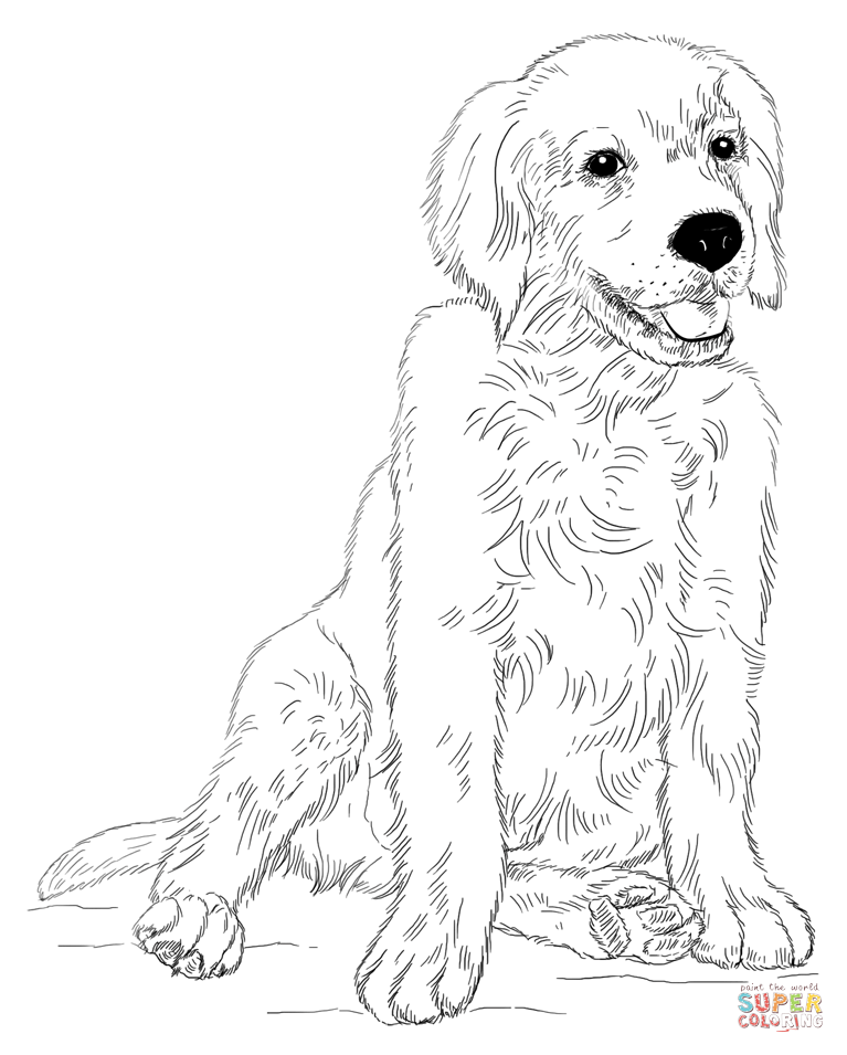 767x955 Golden Retriever Coloring Pages Golden Retriever Coloring Page
