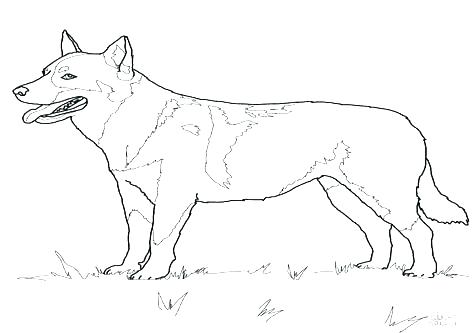 476x333 Golden Retriever Coloring Pages Beautiful Shepherd Coloring Page