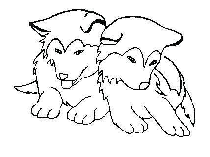 428x320 Golden Retriever Puppy Coloring Pages Stockg Golden Retriever