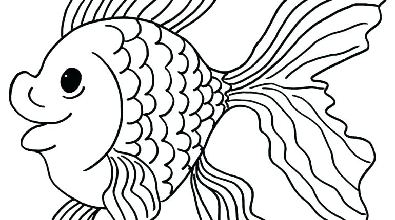 770x430 Goldfish Coloring Page Goldfish Coloring Page Printable Goldfish