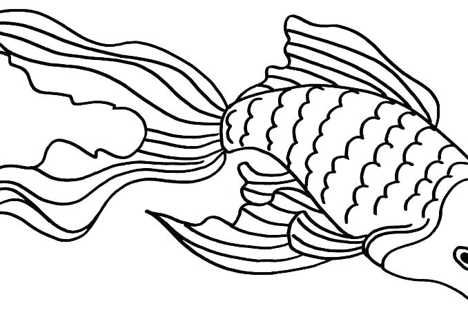 678x450 Goldfish Coloring Pages Goldfish Coloring Page Goldfish Coloring