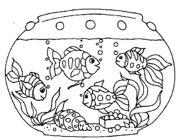 600x470 Fish Tank Coloring Page Goldfish In The Netart Prixducommerce