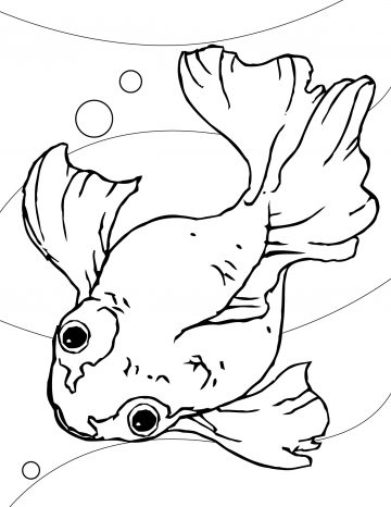 360x466 Free Printable Fish Bowlemplate Goldfish Coloring Page Pages