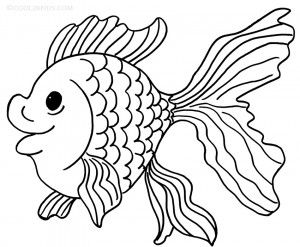300x247 Mejores 10 De Fish Coloring Pages En Pez