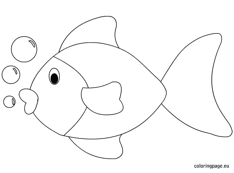 804x595 Coloring Pages Fish Ocean Fish Coloring Pages Fish Coloring Pages