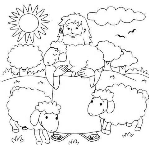 The Good Shepherd School Lessons Bible And Sunday New Sheep 480x466 The Good Shepherd School Lessons Bible And Sunday New Sheep