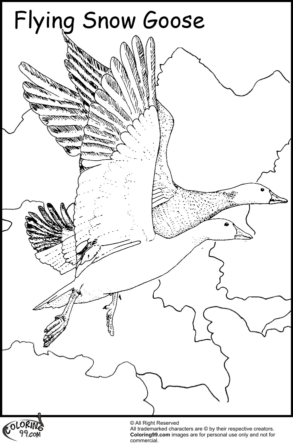 980x1500 Nene Goose Coloring Page State Drawings 10 Pics Of Hawaii State