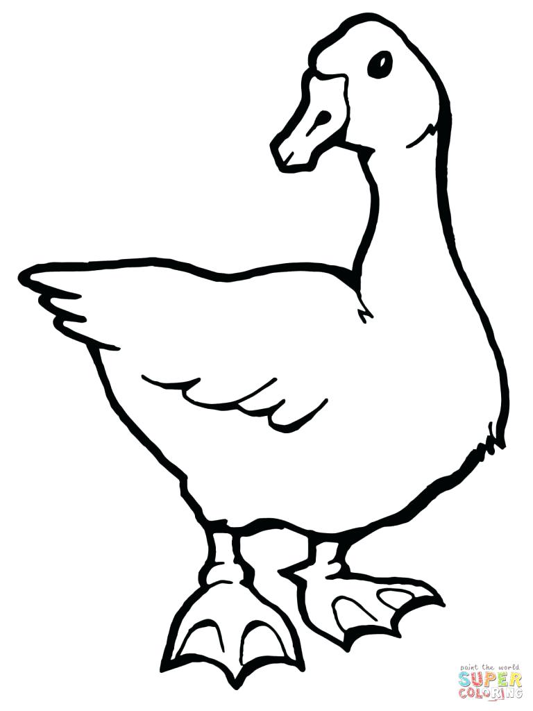 768x1024 Coloring Page ~ Goose Coloring Page Baby Colouring Pages Sketch