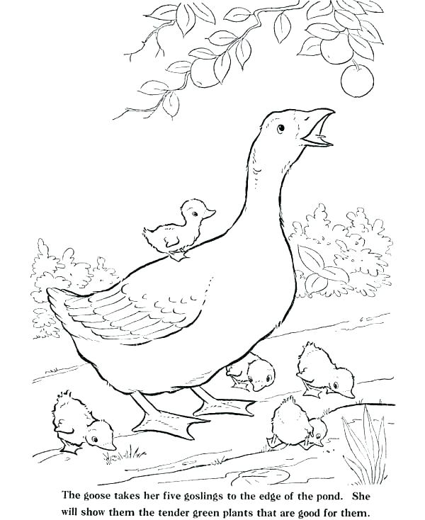 600x734 Mother Goose Coloring Pages Free Printable