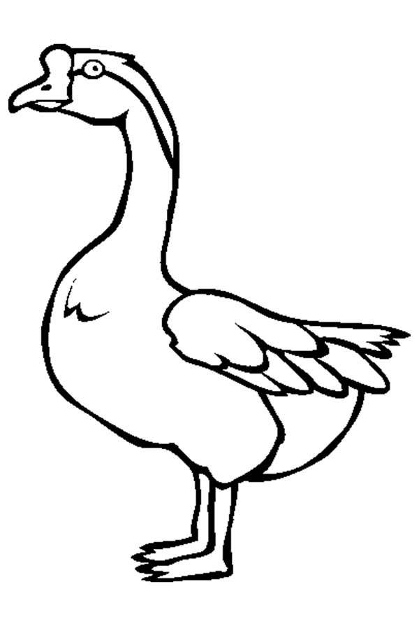 600x895 Awesome Picture Of Goose Coloring Page