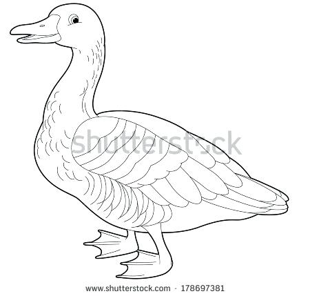 Goose Coloring Page Picture Of Goose Coloring Page Goosebumps 450x429 Goose Coloring Page Picture Of Goose Coloring Page Goosebumps