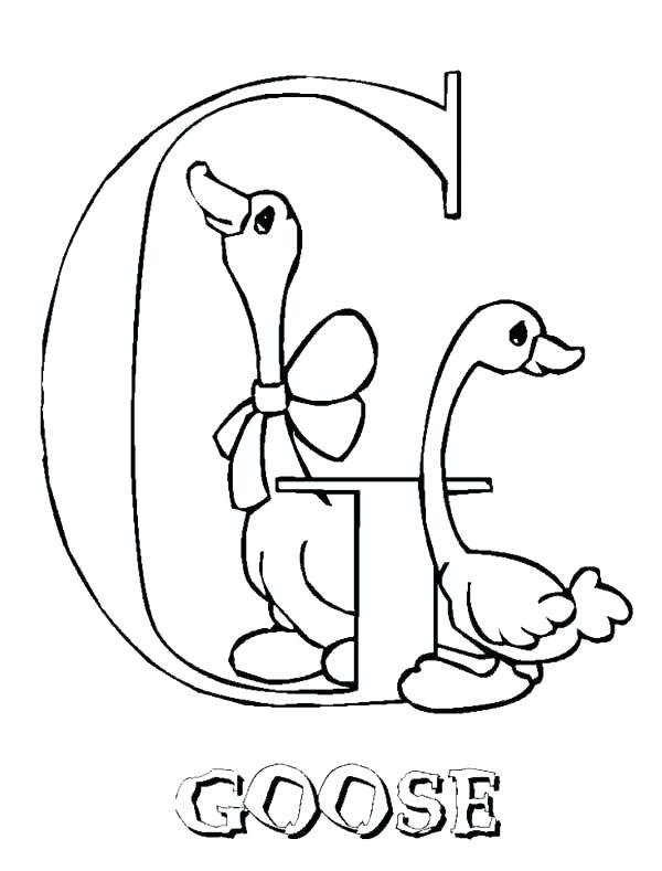 Goose Coloring Page 600x789 Goose Coloring Page