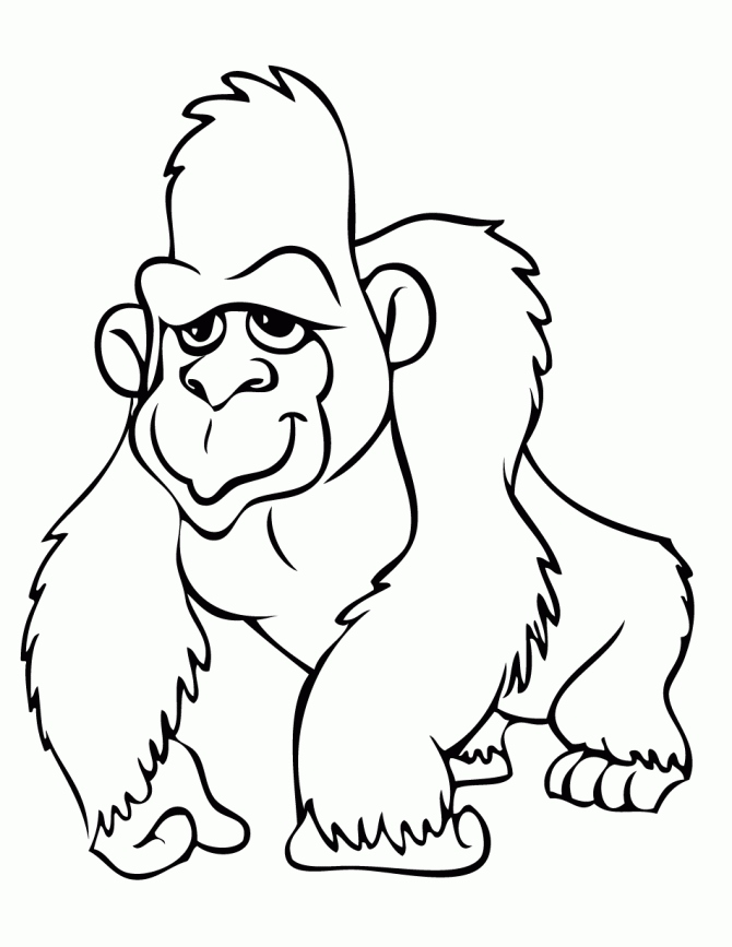 670x867 Gorilla Coloring Pages Unique Gorilla Coloring Page Logo