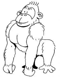 232x300 Mejores 27 De Gorilla Coloring Pages En