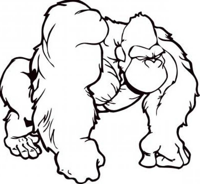 649x600 Preschool Gorilla Coloring Page Coloring Pages