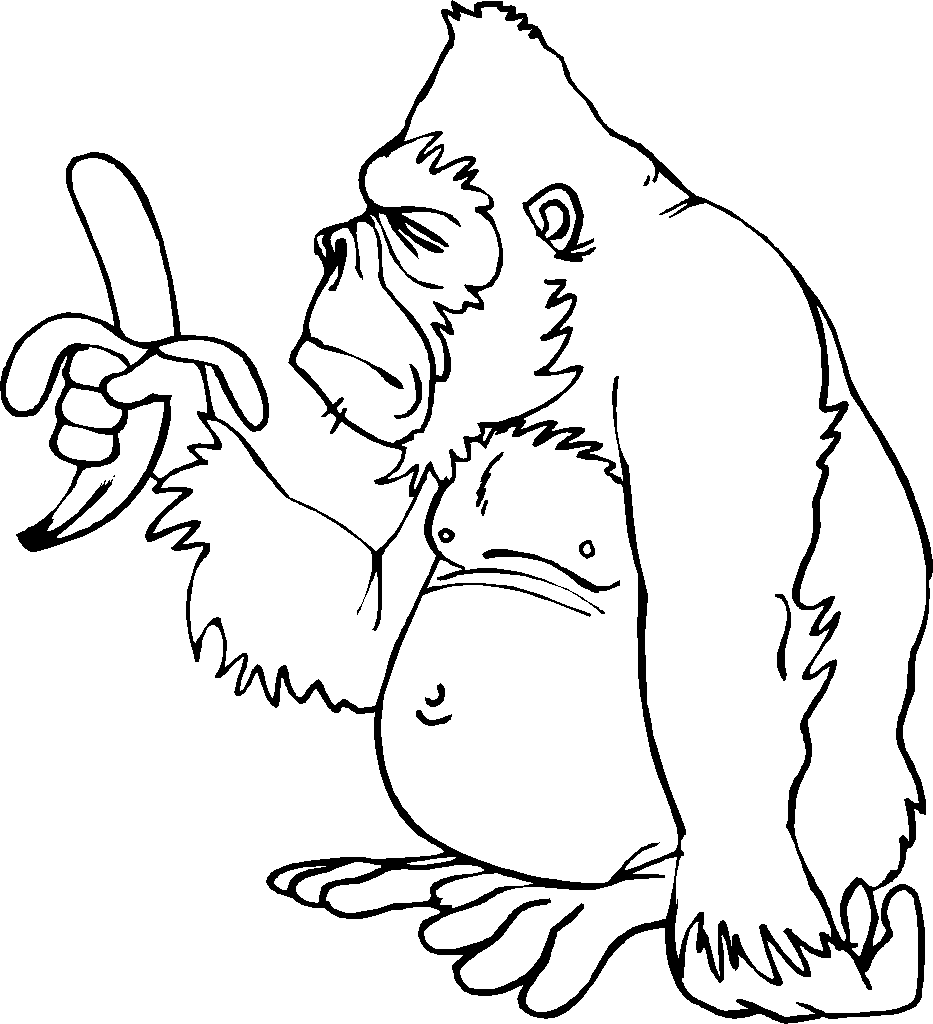 933x1024 Thick Gorilla Coloring Page Animal Pictures Printable Animals Cute