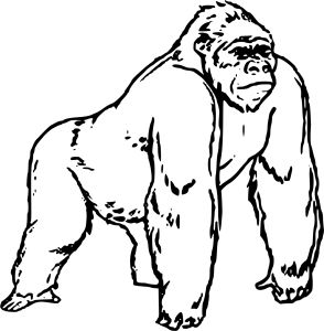 Gorilla Coloring Pages For Kids