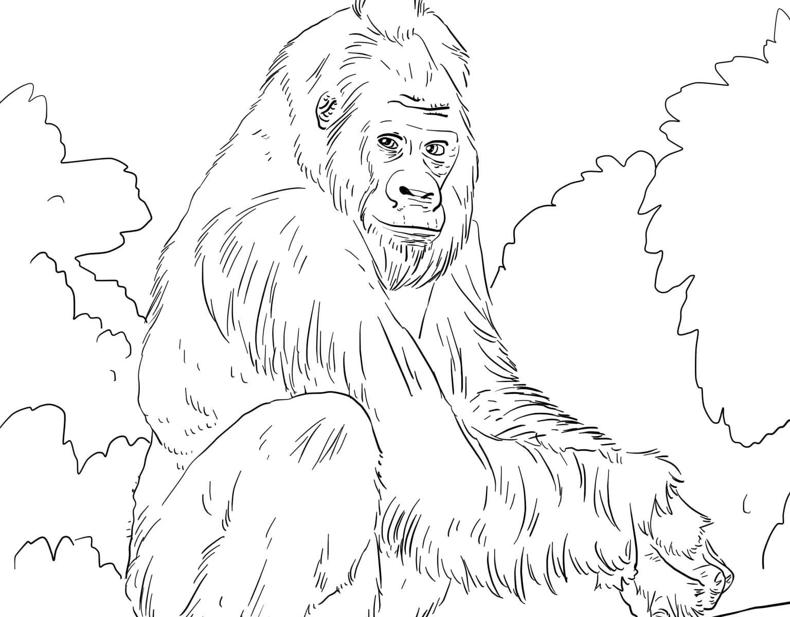 1536x1200 Awesome Gorilla Page To Color Design Printable Coloring Sheet