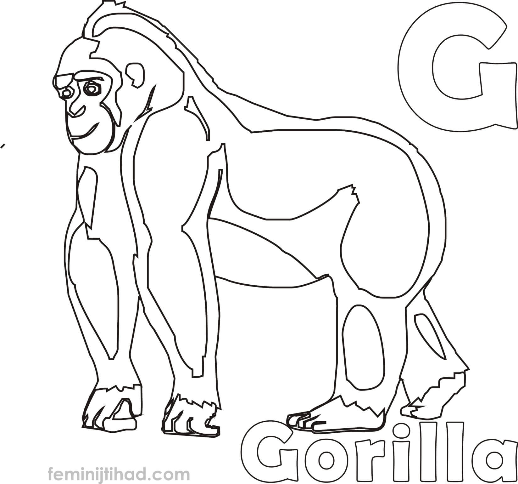 1647x1537 Professional Gorilla Coloring Pictures Pages For Kids