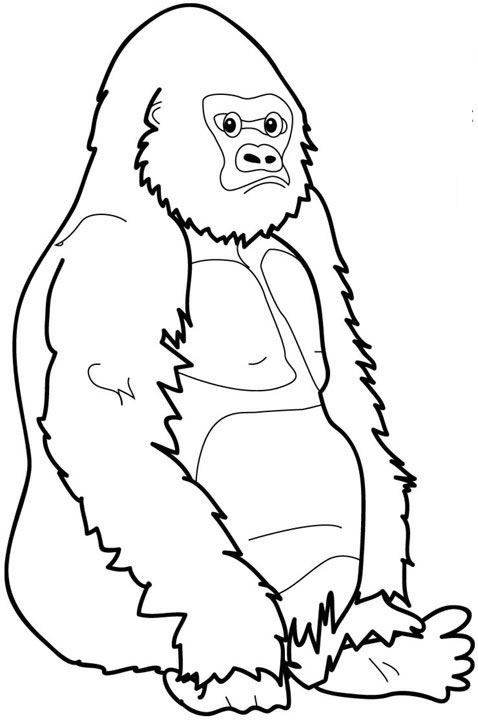 478x720 Coloring Page Bokito The Gorilla