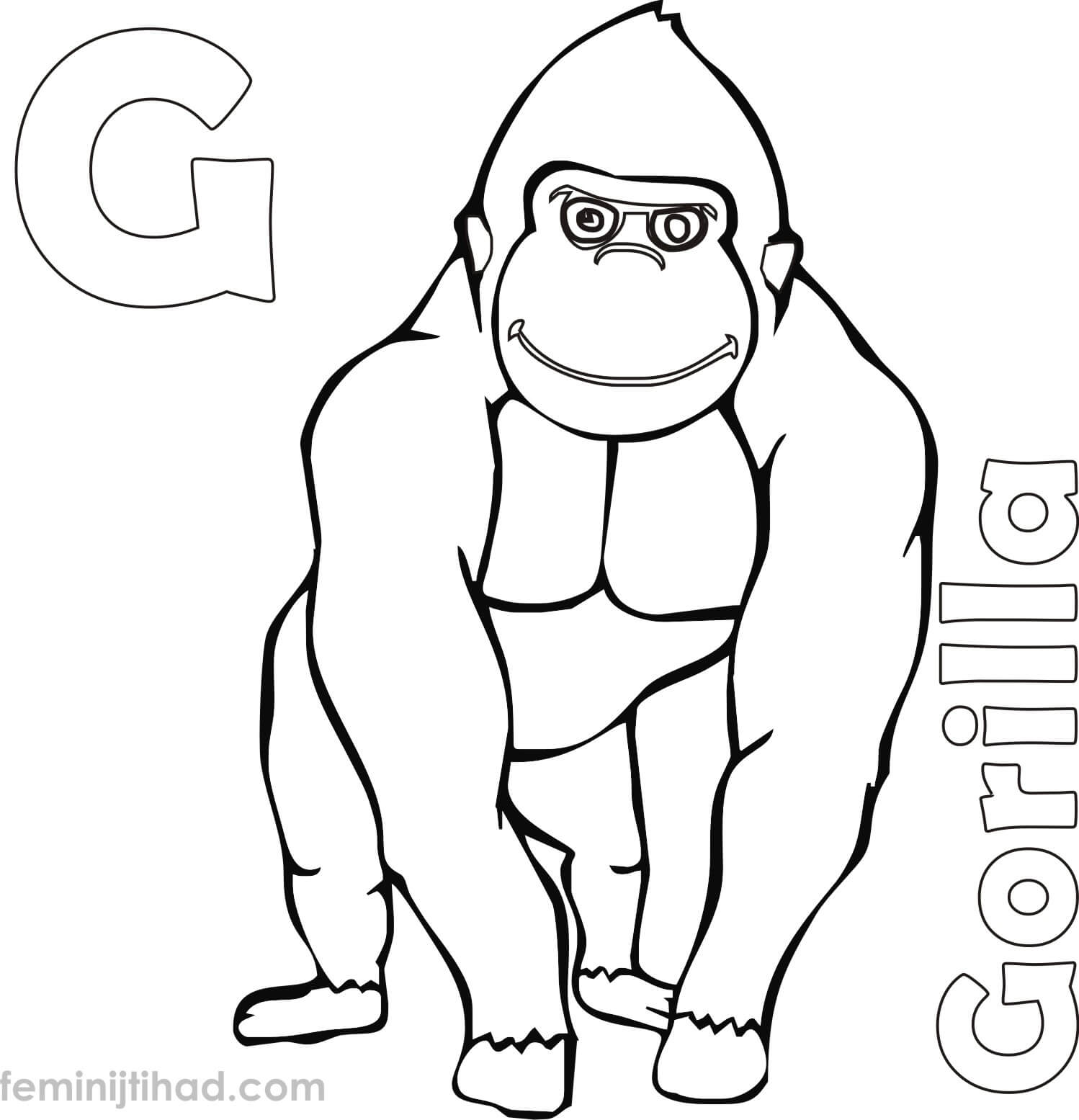 1498x1555 Easy Gorilla Coloring Pictures Pages For Kids