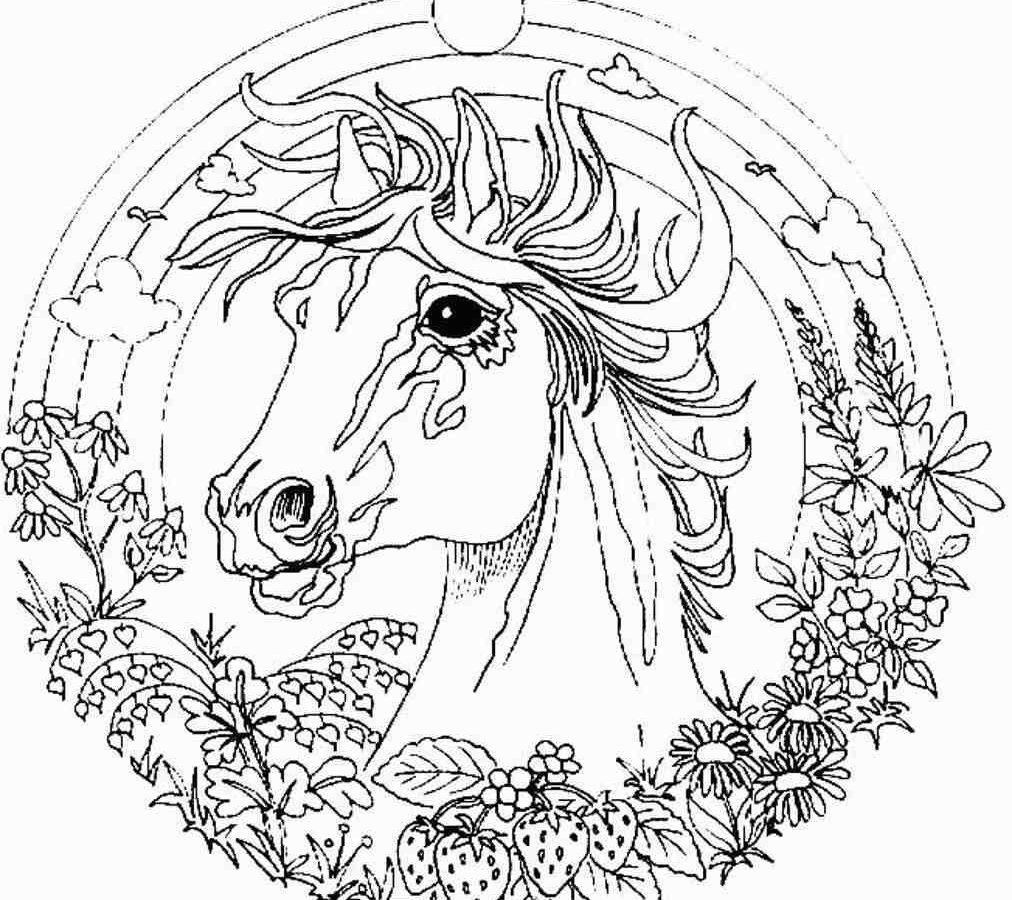 1012x900 Quality Free Printable Coloring Pages For Adul