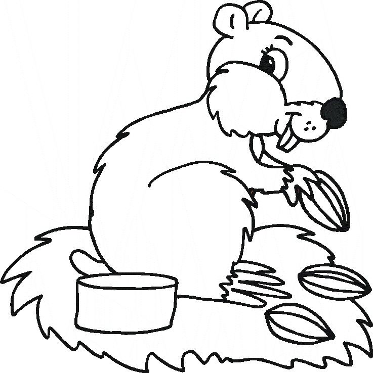 737x738 Forest Animal Coloring Pages Coloring Picture Animal