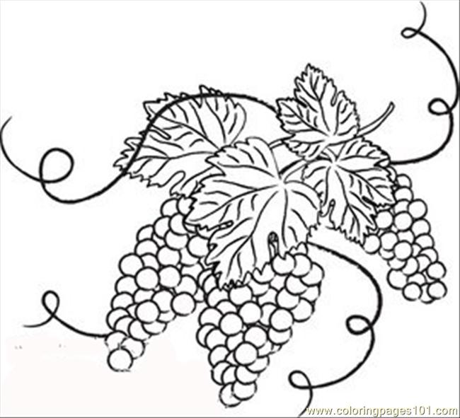 Grape Vine Coloring Page