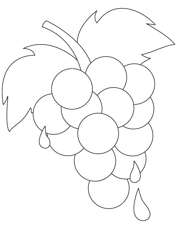 738x954 Grapes Coloring Page Grapes Coloring Pages Grape Vine Colouring