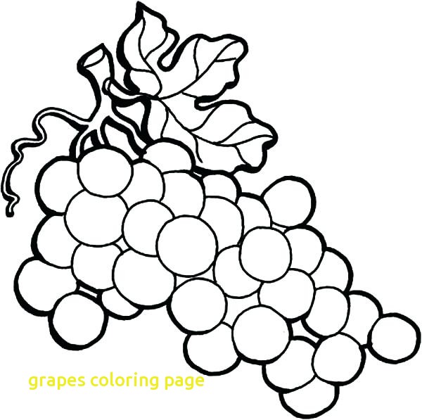 Grape Vine Coloring Page at GetColorings.com | Free printable colorings ...
