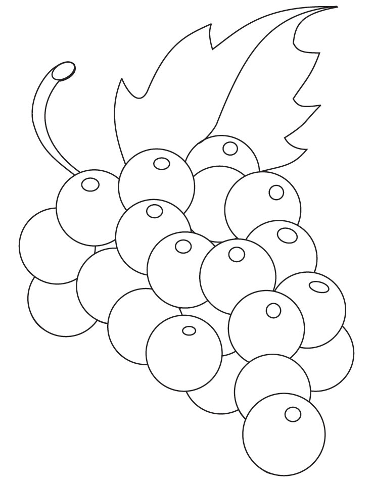 738x954 Grapevine Coloring Sheet Grapes Pages Green