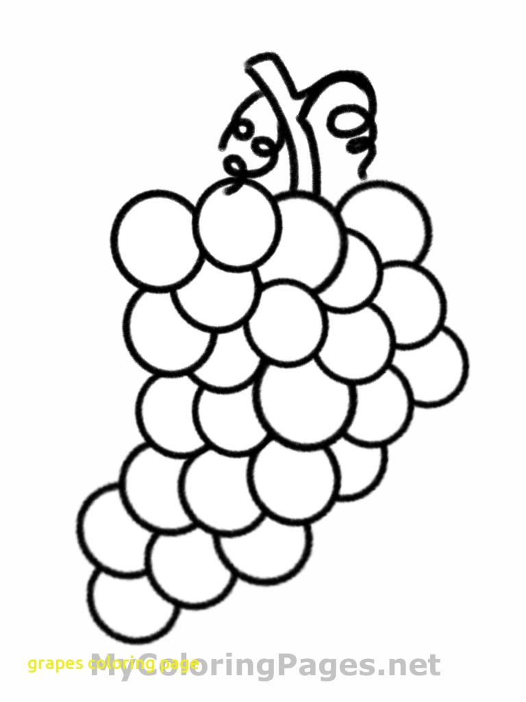 Grape Vine Coloring Page at GetColorings.com | Free printable colorings ...