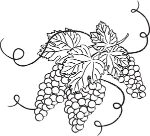 300x273 Free Grapes Clipart Image 0515 0906 1016 2627 Food Clipart