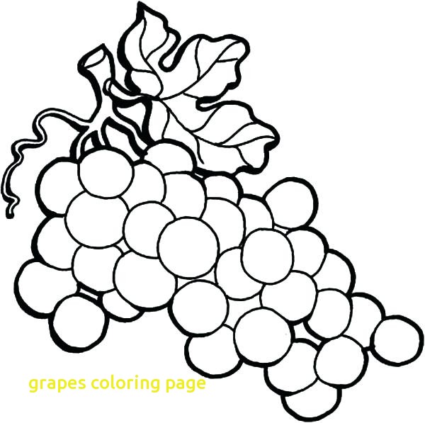 Grapes Coloring Page With Grapes Coloring Page Wine Grapes 600x597 Grapes Coloring Page With Grapes Coloring Page Wine Grapes