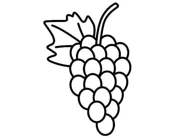 Grapes Coloring Pages Grape Coloring Page Grapes Coloring Page 600x450 Grapes Coloring Pages Grape Coloring Page Grapes Coloring Page