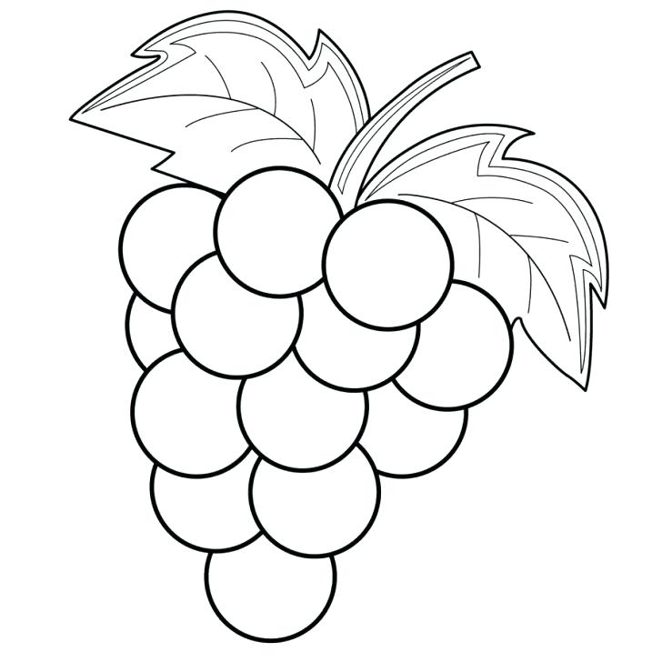Download Grapes Coloring Page at GetColorings.com | Free printable ...