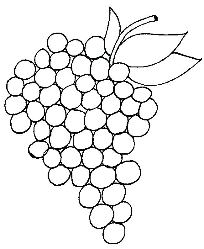 Grapes Coloring Pages We Hope You Can Find What You Need Here We 651x794 Grapes Coloring Pages We Hope You Can Find What You Need Here We