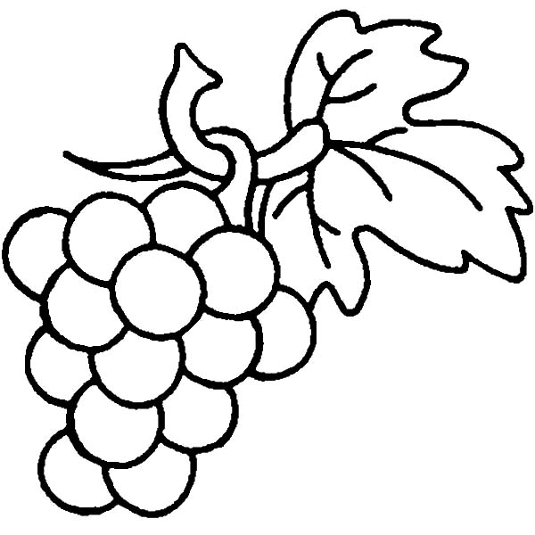 Grapes Are Berry Family Coloring Pages Color Luna 600x600 Grapes Are Berry Family Coloring Pages Color Luna