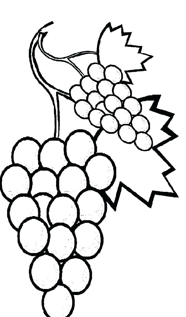 Vine Coloring Pages Page Image Images Watermelon Coloring Pages 600x1021 Vine Coloring Pages Page Image Images Watermelon Coloring Pages
