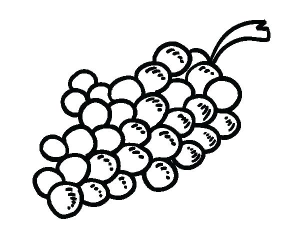 Grape Coloring Page Grapes Coloring Pages Printable Wine Page 600x470 Grape Coloring Page Grapes Coloring Pages Printable Wine Page