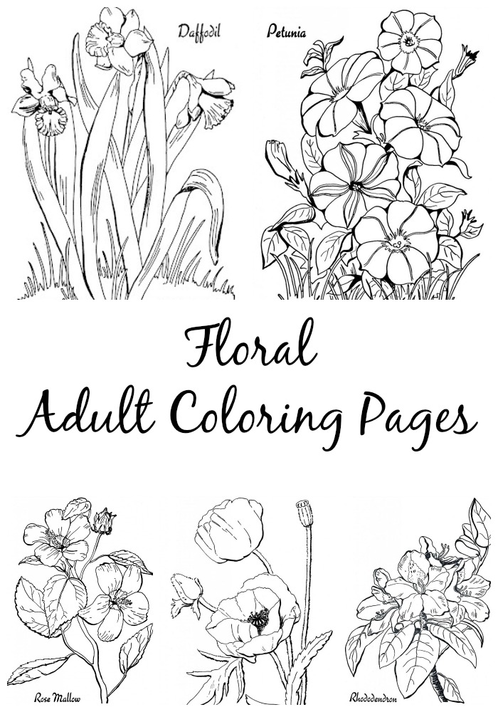 7 Floral Adult Coloring Pages 700x1000 7 Floral Adult Coloring Pages