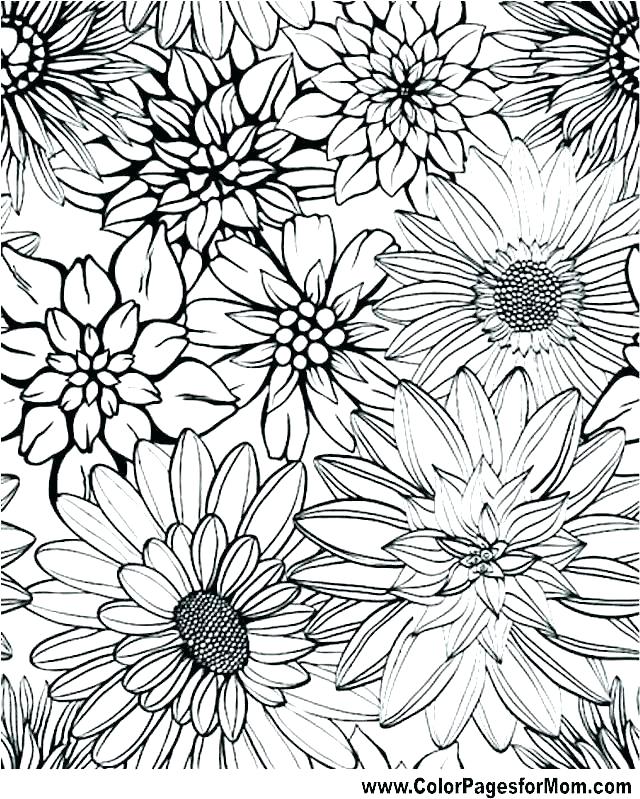Graphic Coloring Pages Therapeutic Coloring Pages Flower Coloring 640x799 Graphic Coloring Pages Therapeutic Coloring Pages Flower Coloring