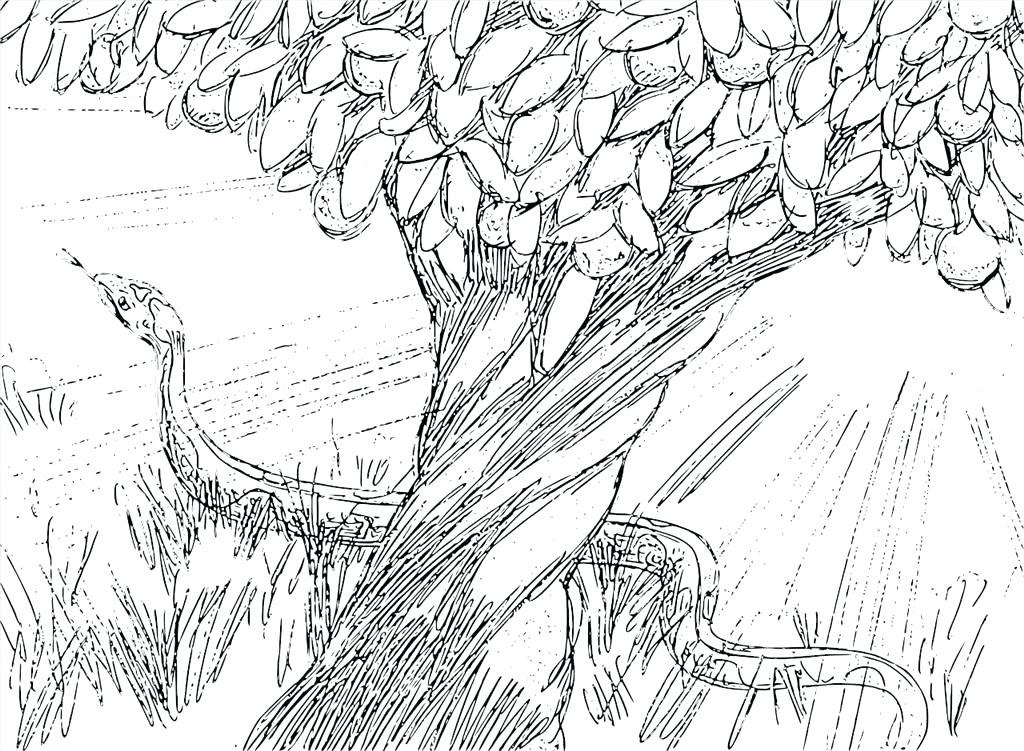 Adam Eve Coloring Pages Graphic Coloring Pages Image Good 1024x751 Adam Eve Coloring Pages Graphic Coloring Pages Image Good