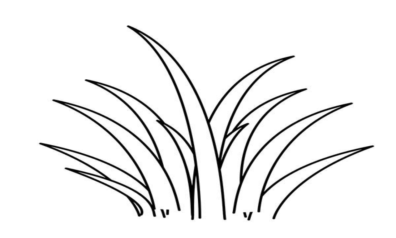 Grass Coloring Page Printable Pages 1280x768 Grass Coloring Page Printable Pages