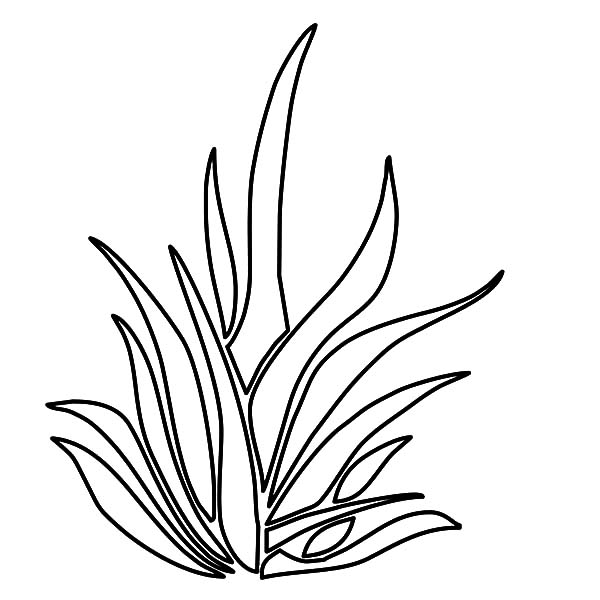 Grass Coloring Pages For Kids Color Luna 600x600 Grass Coloring Pages For Kids Color Luna