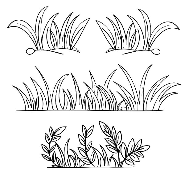 Grass Coloring Page Grass Grow So Luxury Grass Coloring Pages 600x585 Grass Coloring Page Grass Grow So Luxury Grass Coloring Pages