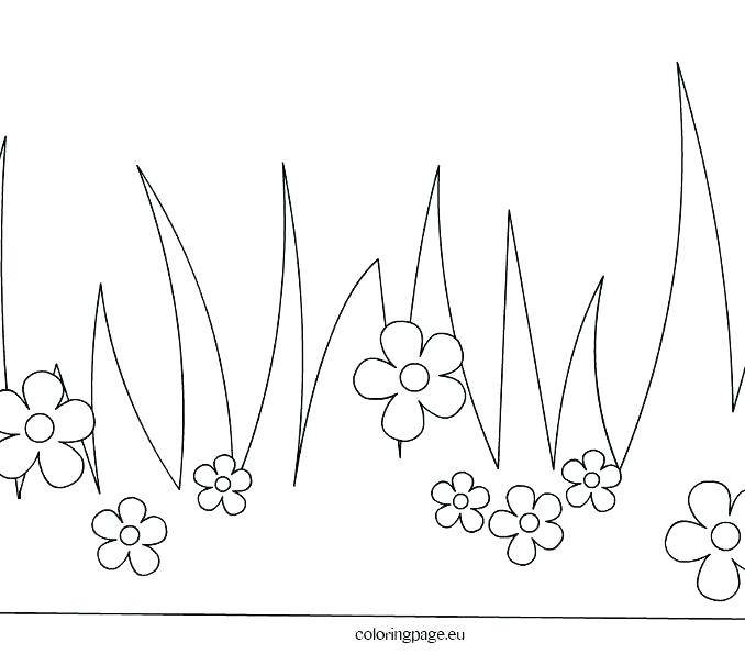 678x595 Grass Coloring Page Grass Coloring Pages Plus Elegant Grass